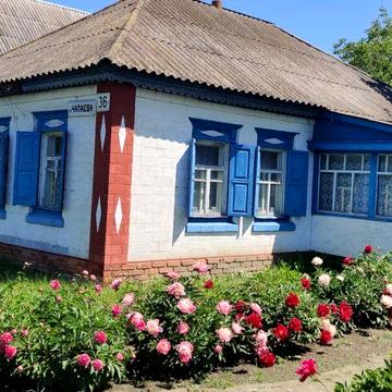 Будинок в селі Придніпровському