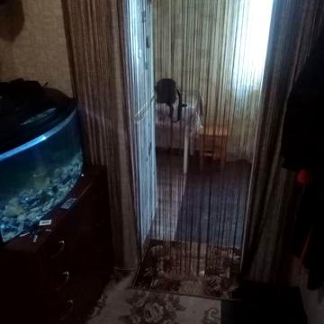 Сдам однокамнатную квартиру градецкий