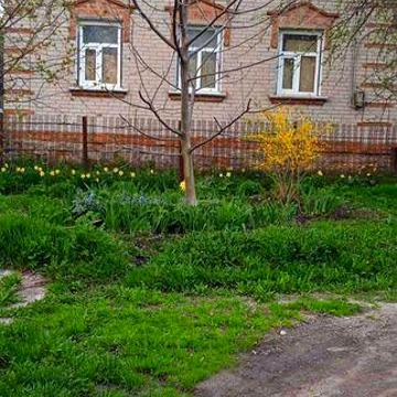 Продаж дома Путивль 76,6  кв.м. + земля и дом в Кононенково