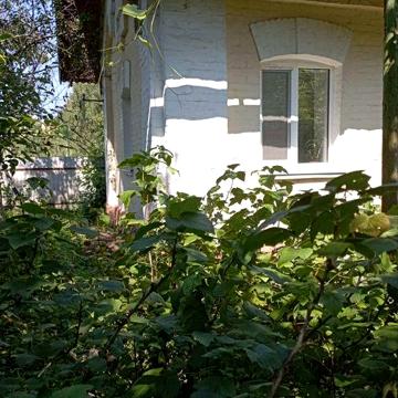 Продається будинок у м. Коростені