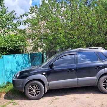 Будинок з цегли,надвірні будівлі(кухня, погреб,сарай,гараж,убиральня