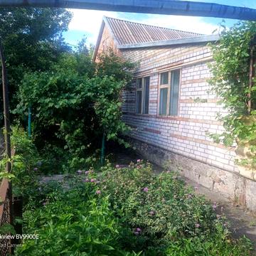 Продам будинок на два господаря . Село Високе