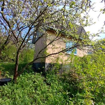 Продам дачу Деражнянський р-н