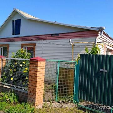 Будинок по вулиці Менделєєва 4