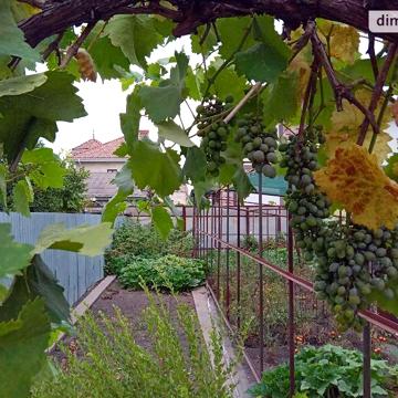 Продаж 4к Дім Селянська вулиця