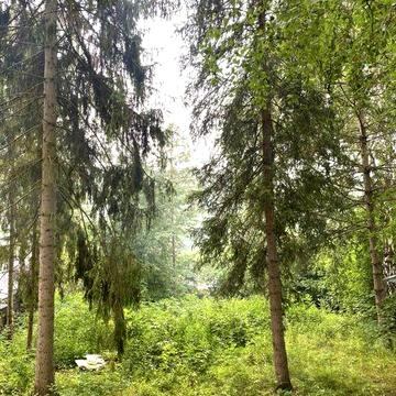 Продається будинок-дуплекс на березі Касперівського водосховища