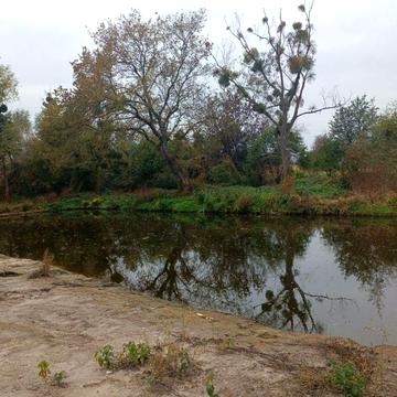 Будинок для відпочинку у с. Келеберда(Прохорівка)