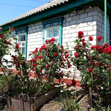 Продам дом в селе Кривуши ,Кременчугского района,улица Первомайская 8
