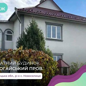 Будинок 215 м2 та земельна ділянка 20 соток в Новоселиці