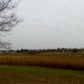 Будинок, Село Трихатське