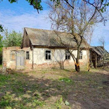 Здаю будинок м. Ічня