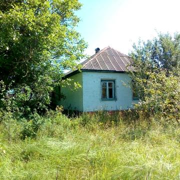 Будинок с.Браниця 100км від Києва. 0,44га Ліс