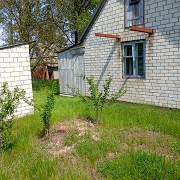 Продам дом в с.Ковяги Валковский район