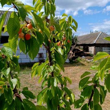 Продам дім / дачу за містом біля річки та озер