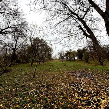 Продається 56.8 соток з будинком у селі Юркове, Черкаська область
