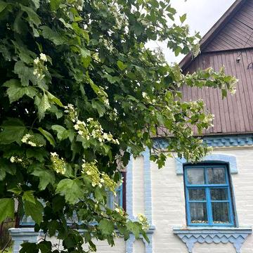 Будинок с. Романівка, Романівський рн, Чуднівський р-н