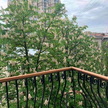 продам 3 кімнатну, Печерські Липки, Центр, Шовковична 13/2  Газ, Ліфт