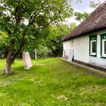 Будинок в мальвничому селі з великою ділянкою
