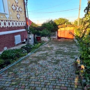 Зелена, 15