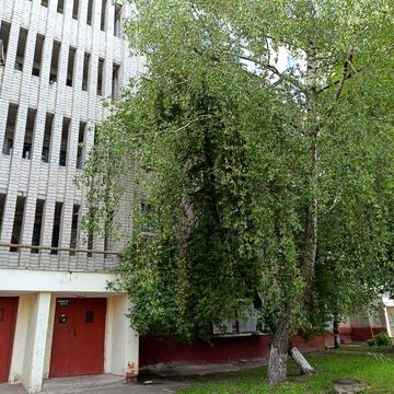 Однокімнатна квартира. Центр. Цегла.