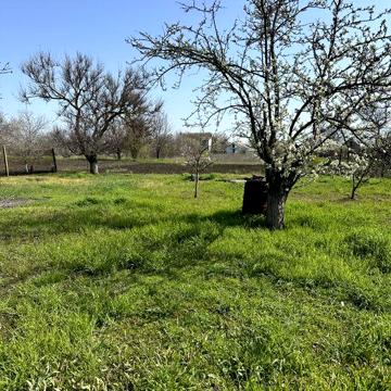 Продам дом. Село виноградарь станция карпова улица Зеленая