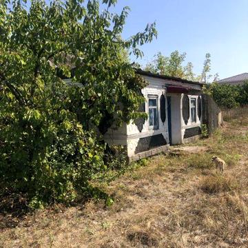 Продаж будинку у Великій Олександрівці