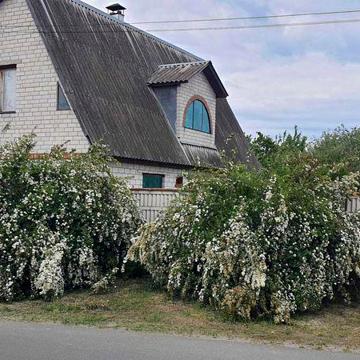 Продам Будинок Велика Димерка, Київської обл, Броварського р-ну