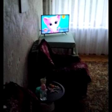 3-х кВЛАСНИКЧайкаЕкономні кп.6+сп.місцьМожна тваринкуЗаміненно техніку