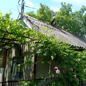 Дача от хозяина. Садовое общество "РАНЕТ" пр. Героев Сталинграда
