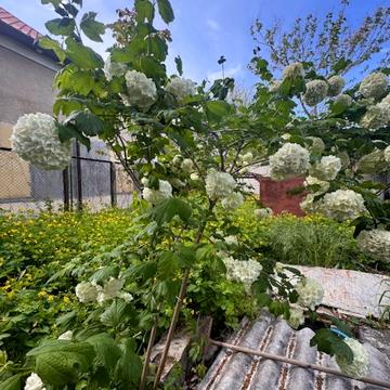 Купріна вул., 17