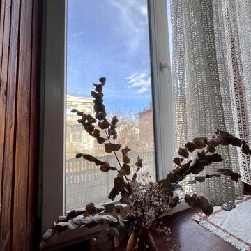 Унікальна пропозиція в Центрі міста
