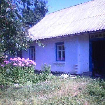 Продаємо будинок в с. Пустоварівка Білоцерківський район Київська обл.