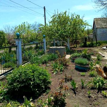 Продається будинок в с. Сербка