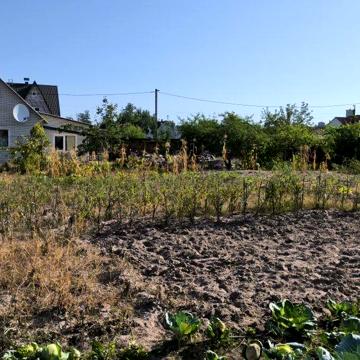 Продам будинок з земельною ділянкою