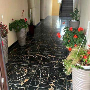 Продаж будинку з діючим бізнесом. Чернівецька область село Млинки.