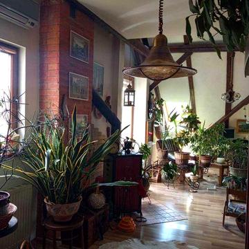 Ексклюзивна велика квартира