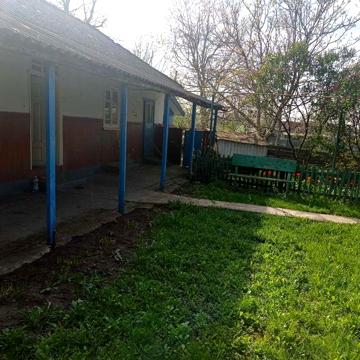 Житловий будинок в селі біля Дністра