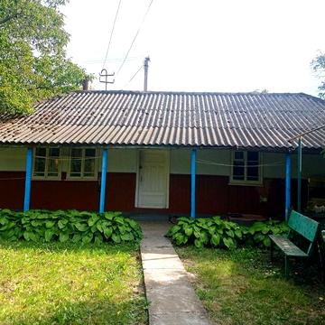 Житловий будинок в селі біля Дністра