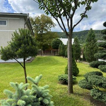 Продається будинок