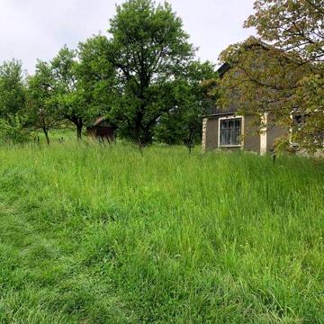 Господарство у с.Верхні Станівці