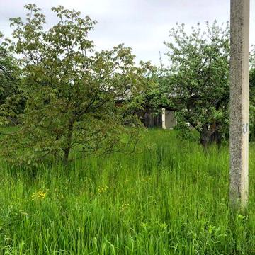 Господарство у с.Верхні Станівці