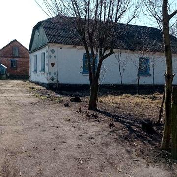 Продам будинок у селі Риковичі
