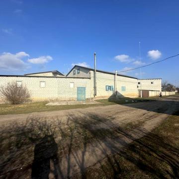 Продам хозяйство дом ферму участок 2га