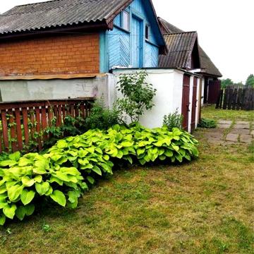 Будинок в селі ( дача) жд сполучення біля Києва