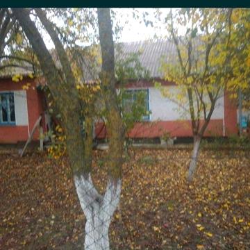 Продаж будиноку в Любарі.