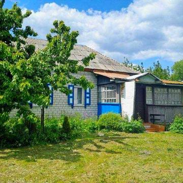 Продається  будинок,  Чернігівська область  селище Курінь