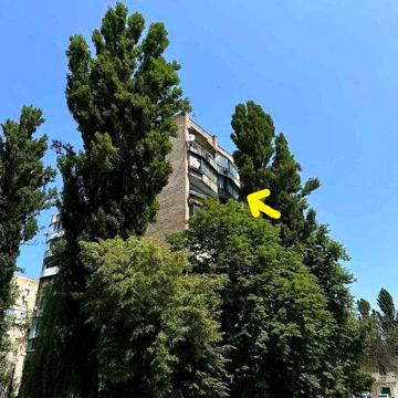 Без %, вул. Зодчих. Продаж 1к квартири під ремонт. Вигідна пропозиція!