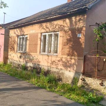 Будинок в центрі села