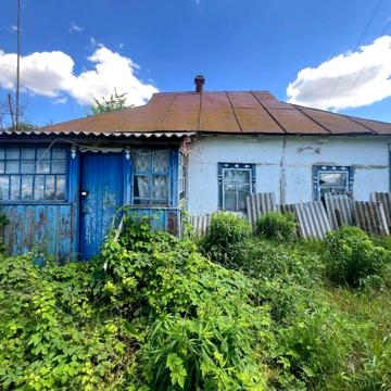 Продаж будинку з земельною ділянкою 48 соток в селі Лукаші