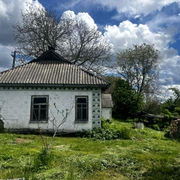 Продаються 2 будинки ( використовується як одне подвіря)